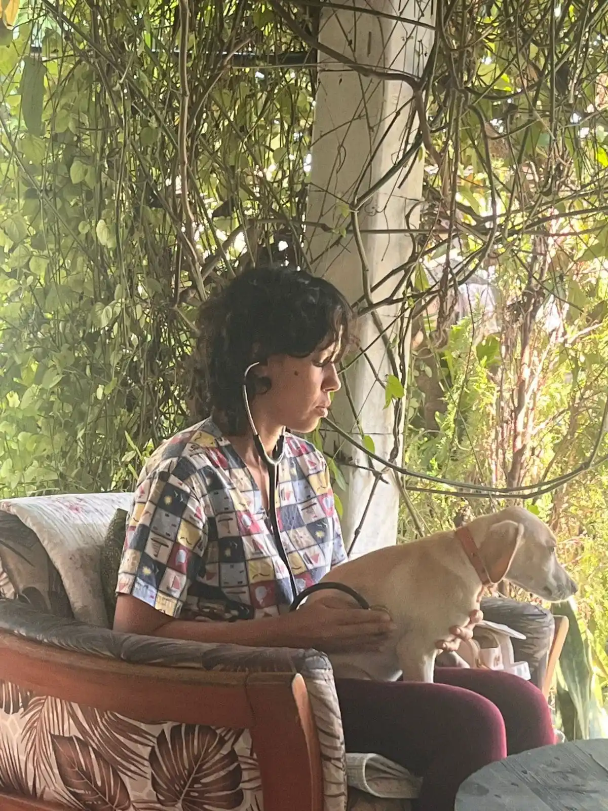 Serviço de Concierge Veterinário