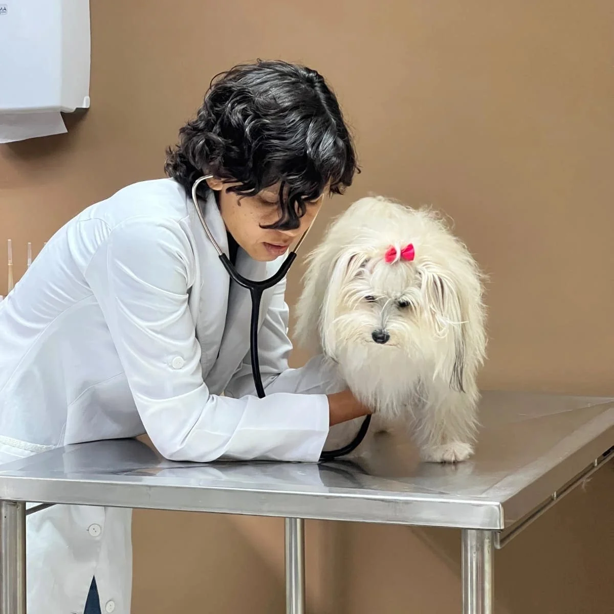 Atendimento veterinário domiciliar